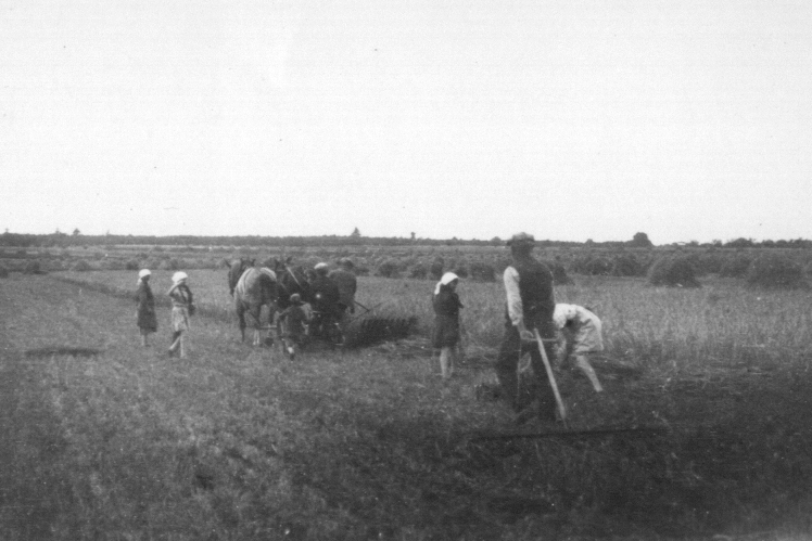 Finther Landwirtschaft in den 30er Jahren. Bildquelle: HGV Archiv
